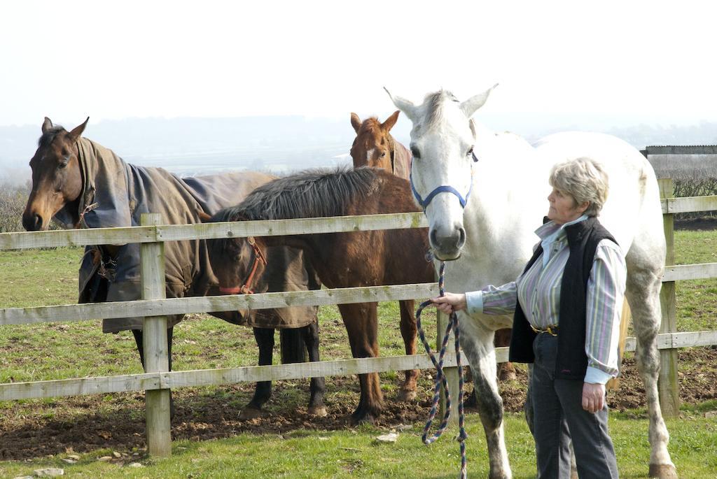 Cleers View Farm Bed and Breakfast Somerton  Esterno foto
